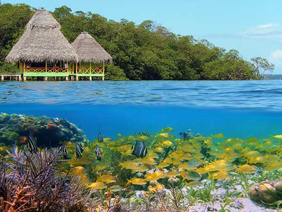 Bocas Del Toro, Panama