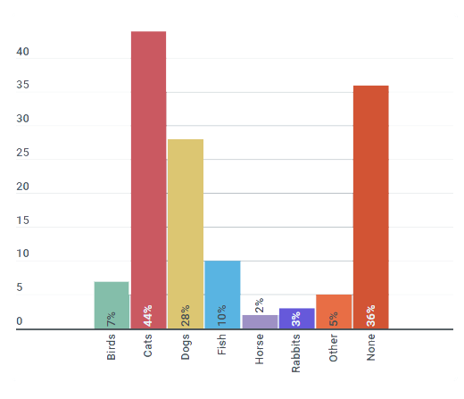 Pet Insurance NZ Compare Pet Insurance Canstar