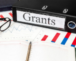 research and development grants nz