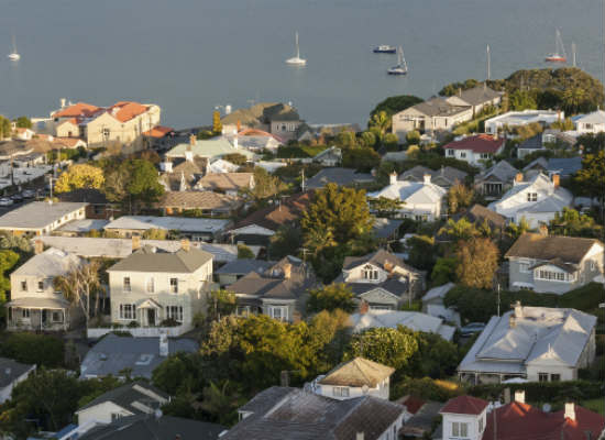 Auckland Housing